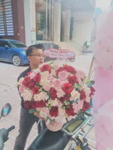 Hình ảnh hoa thực tế